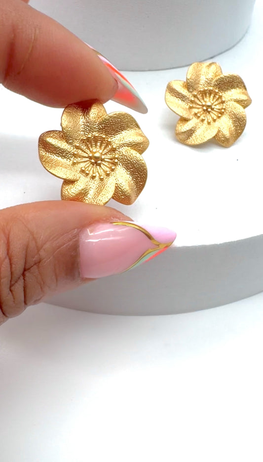 EARRINGS 2062